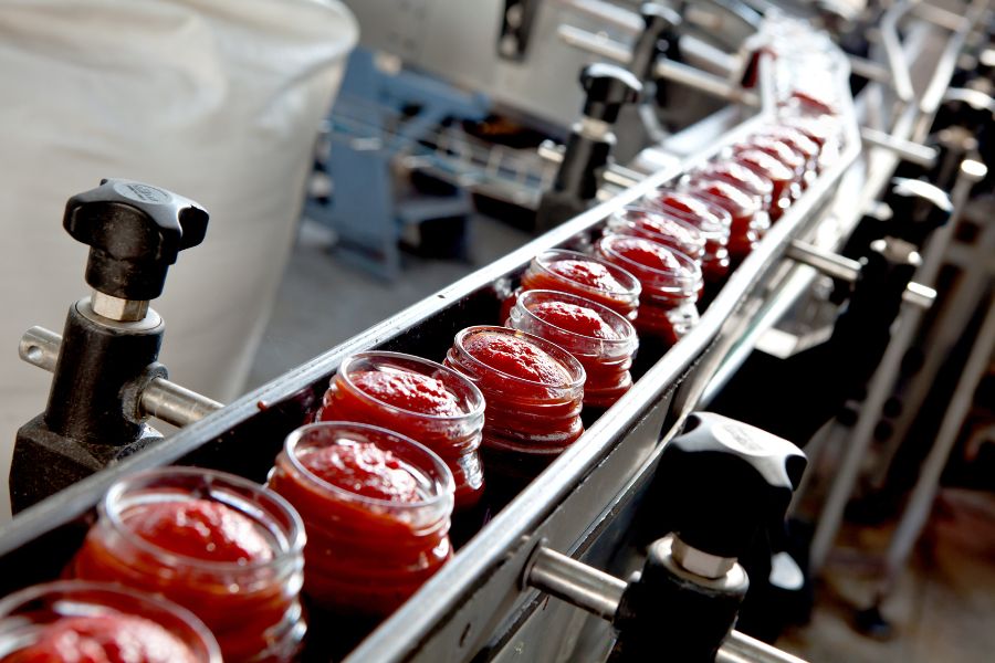 Food processing1_TPCI