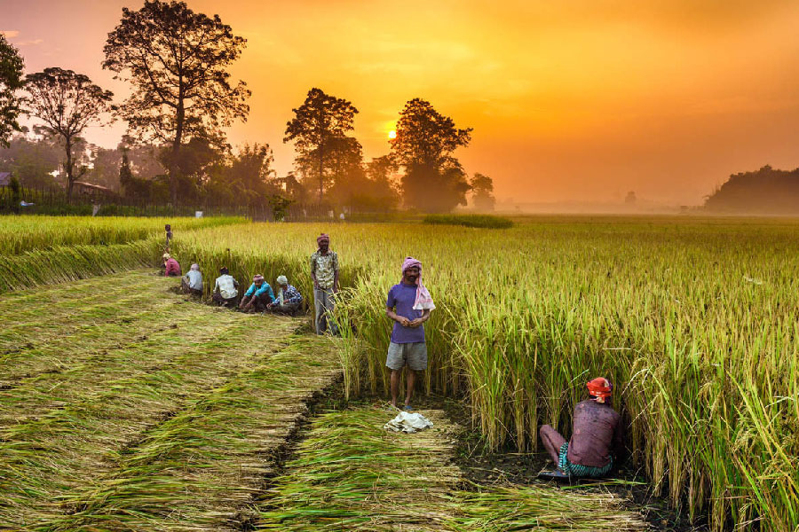 Invest in agri-exports