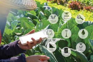 Digital Agriculture