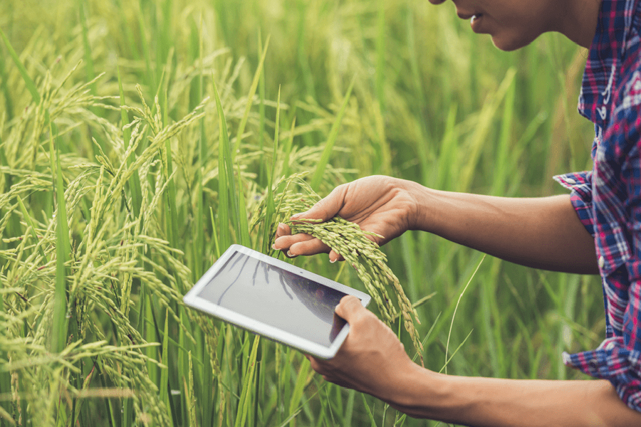 Sustainable agriculture