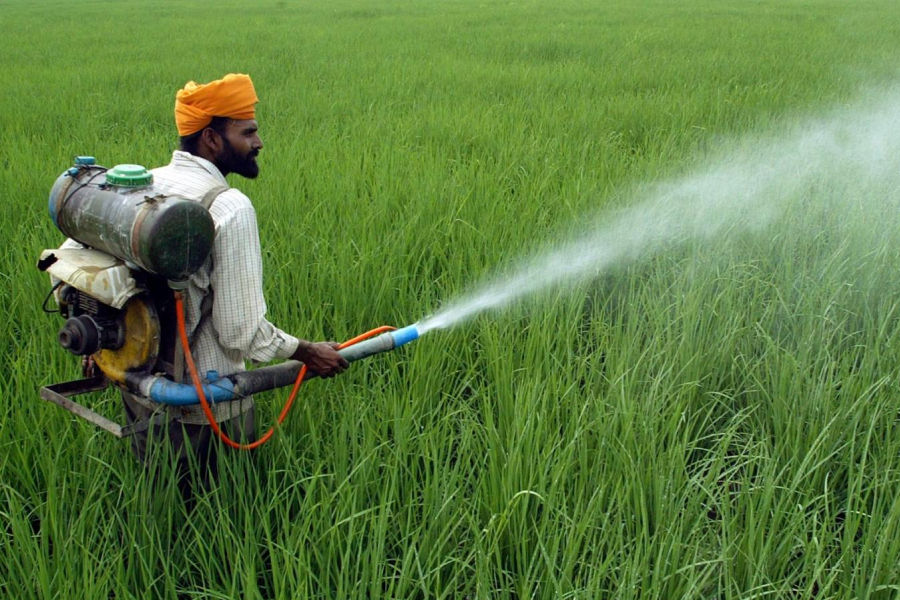 MRL: The bane of India’s agricultural export ambitions