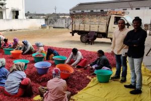 Farming-with-a-glocal-mission-tpci.