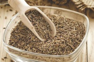 Indian-cumin-seeds-Renown-across-the-world-tpci