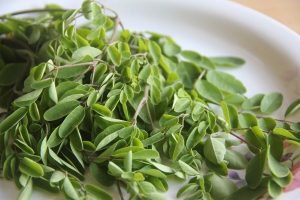 Moringa_TPCI