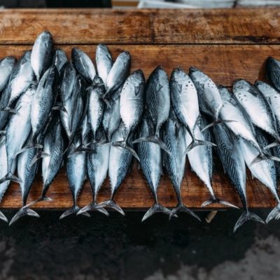 Fishery_subsidy_TPCI