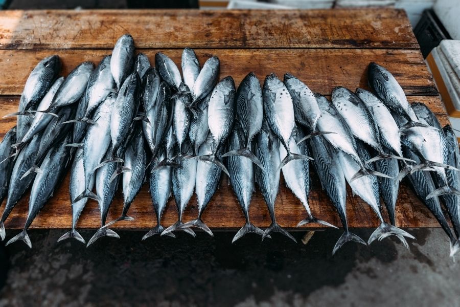 Fishery_subsidy_TPCI