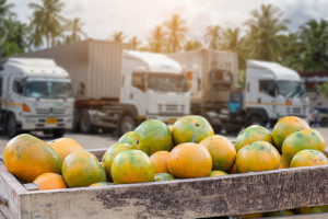 F&B export_India_TPCI