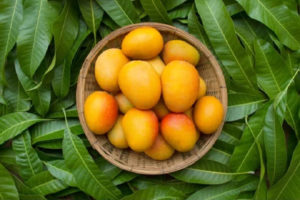 Mango_TPCI