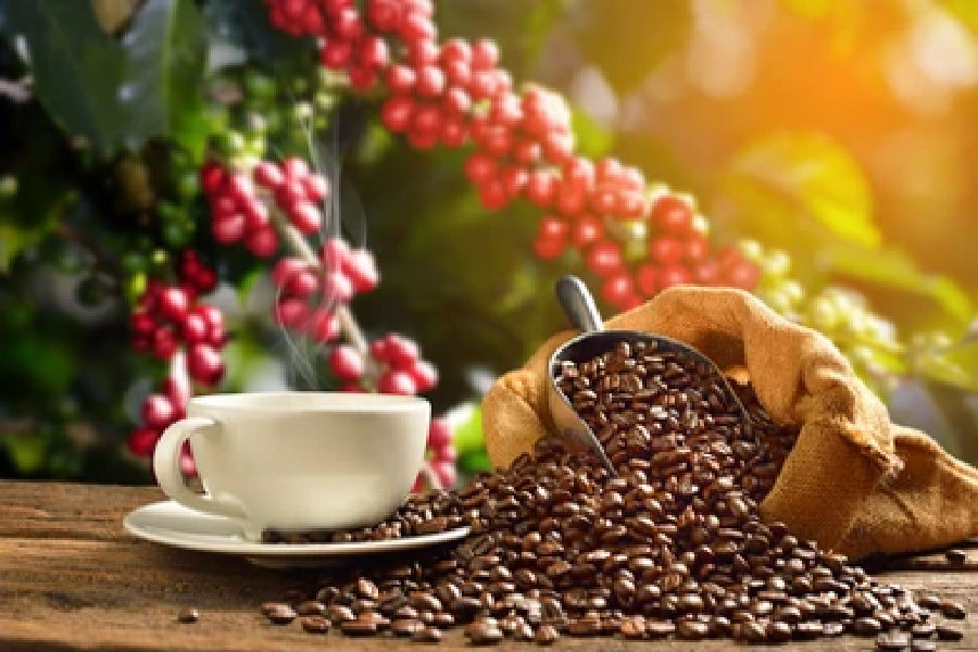 coffee