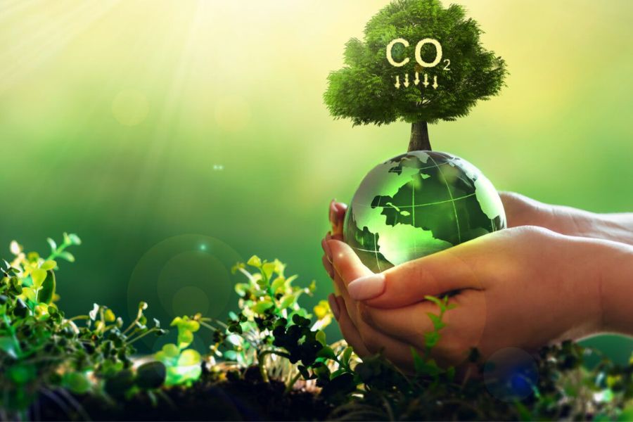 Carbon tax_TPCI