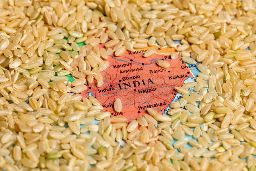rice