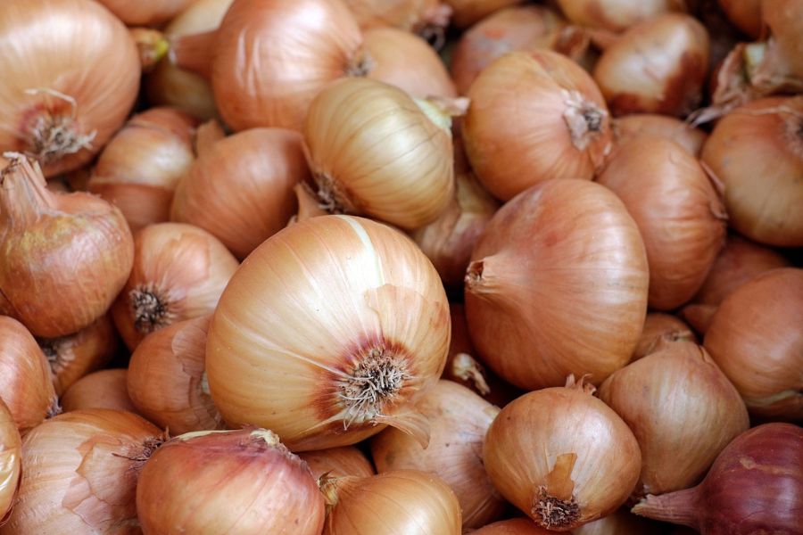 Onion prices Supply_tpci