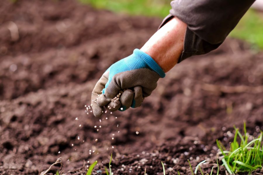 newfertilizer_tpci