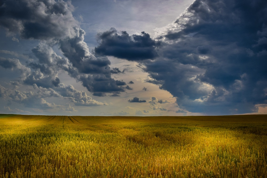 adobe Monsoon- tpci