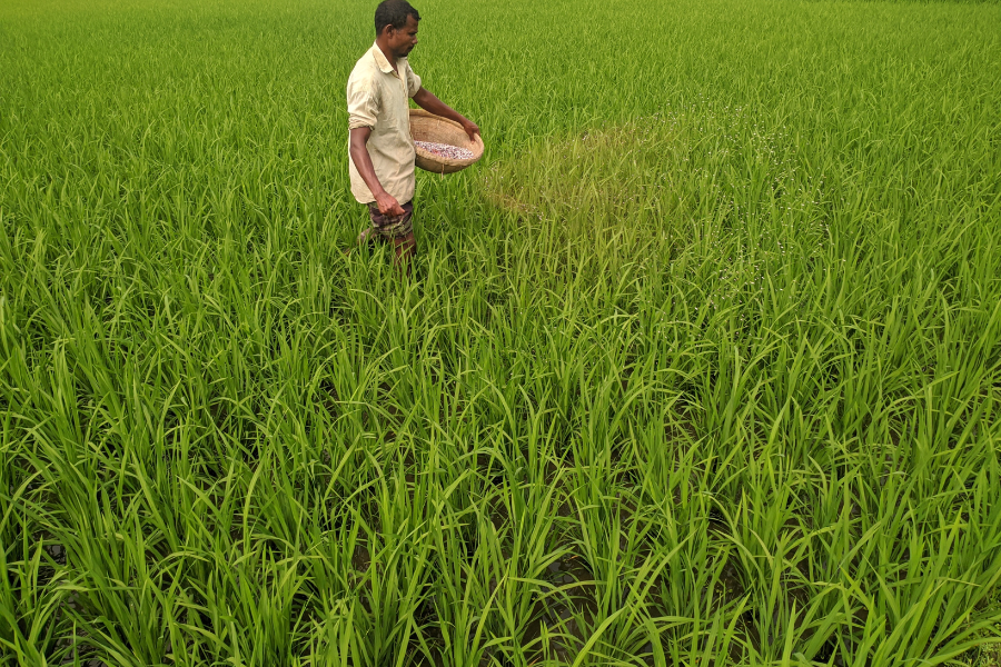 Pesticide-MRL