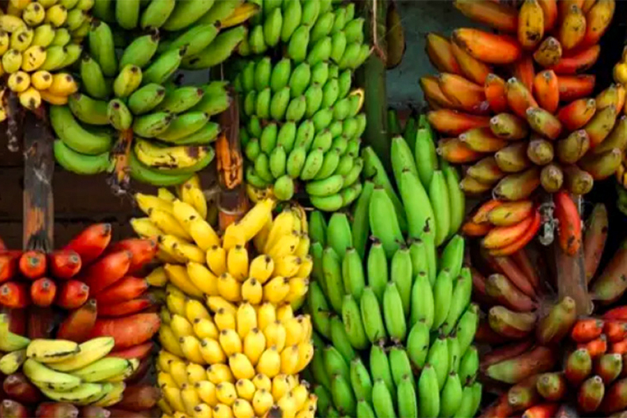 India's banana exports: Time to build on the momentum - India Business