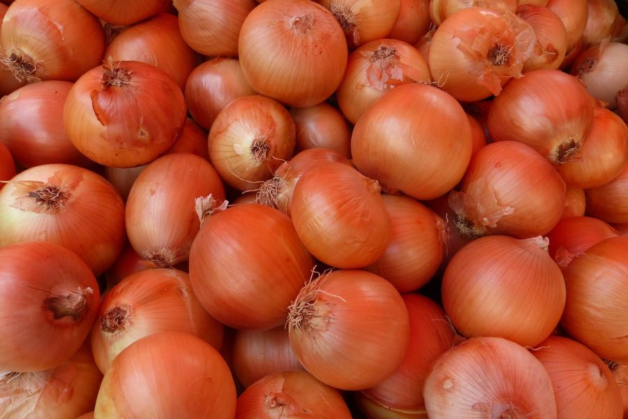 onion-tpci