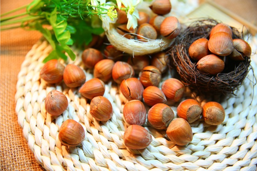Hazelnuts 