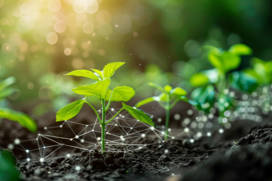 agriculture - adobe