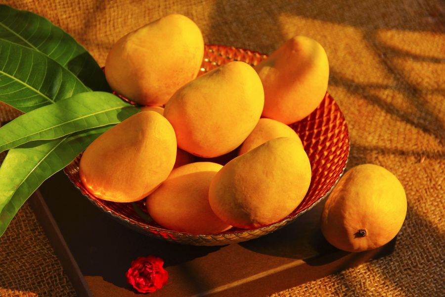 alphonsomango_tpci 