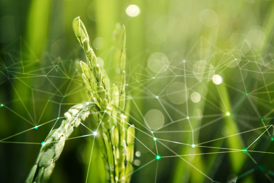 agriculture_tpci