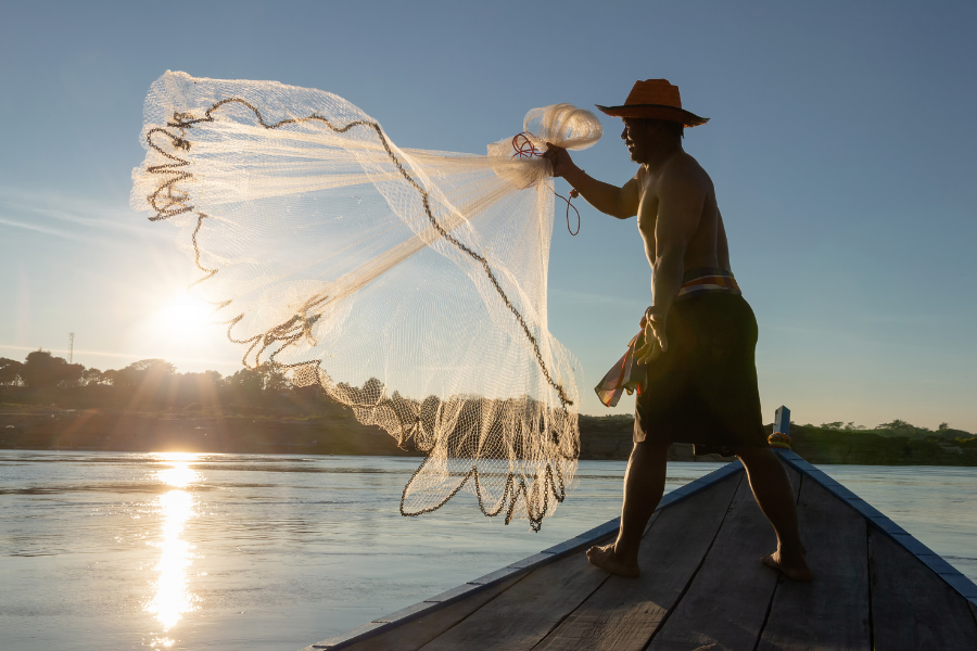 Fisheries sector