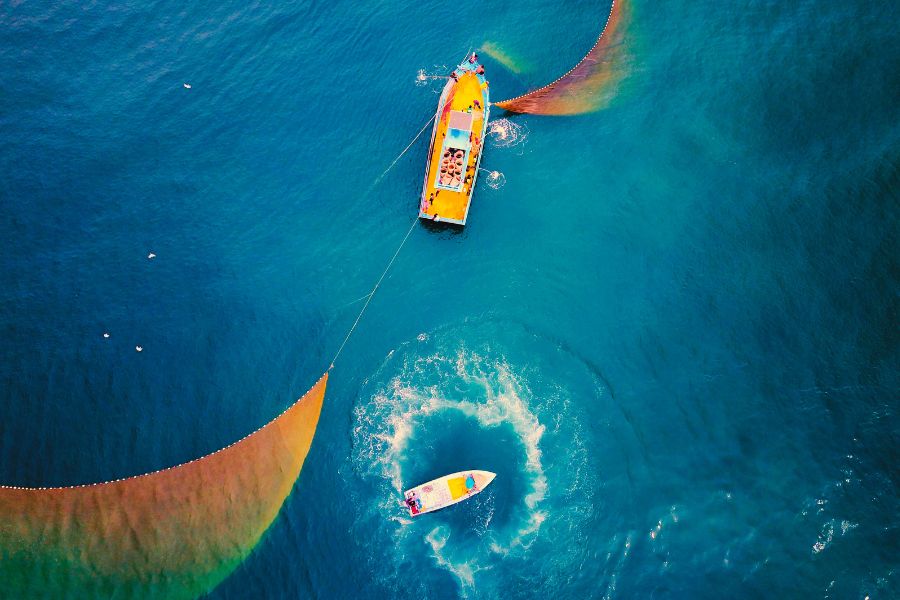 Global marine fisheries: sustainability rising, challenges persist