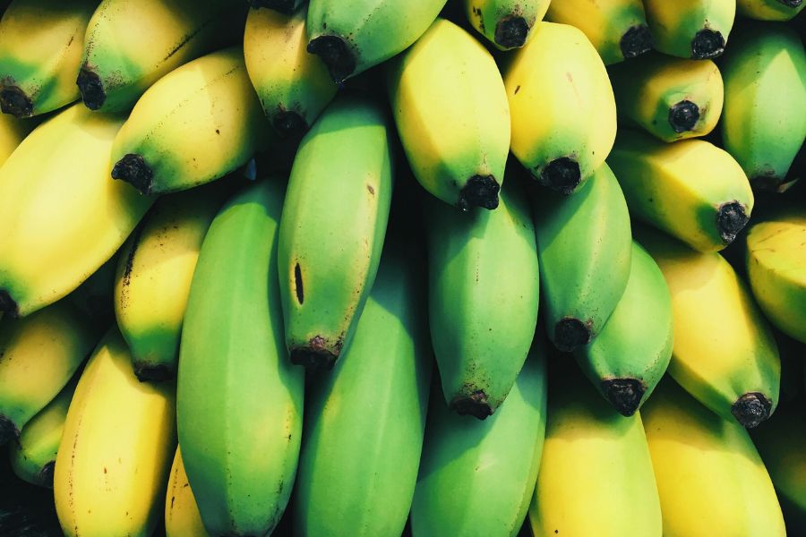 India’s quest for billion dollar banana exports