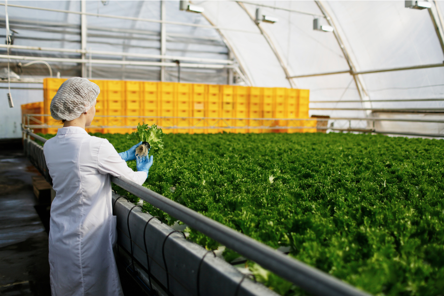 agriculture_freepik_tpci