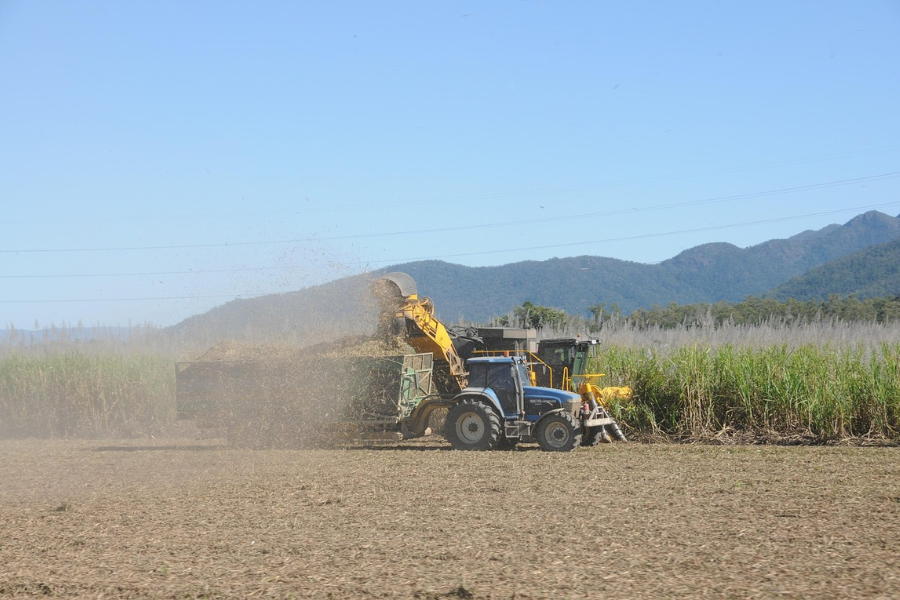 sugarcane processing_pixabay_tpci