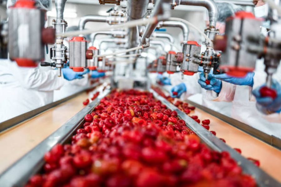 food processing - freepik