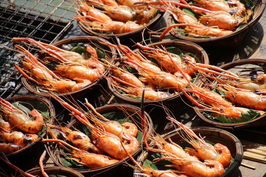 shrimps tpci