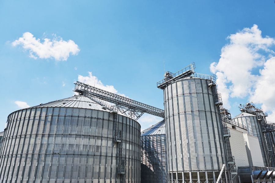milk plant_freepik_tpci