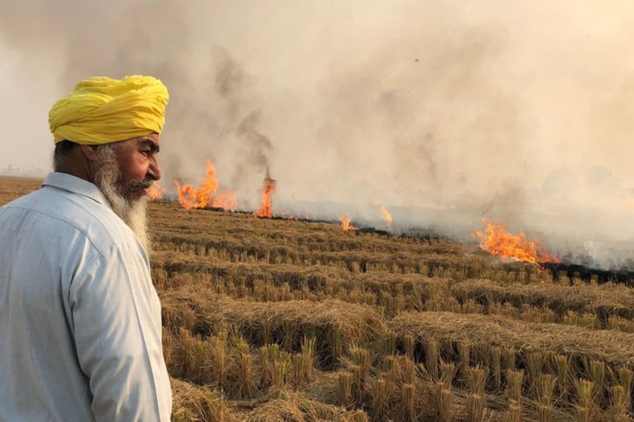 BBC - farmer burning stubble