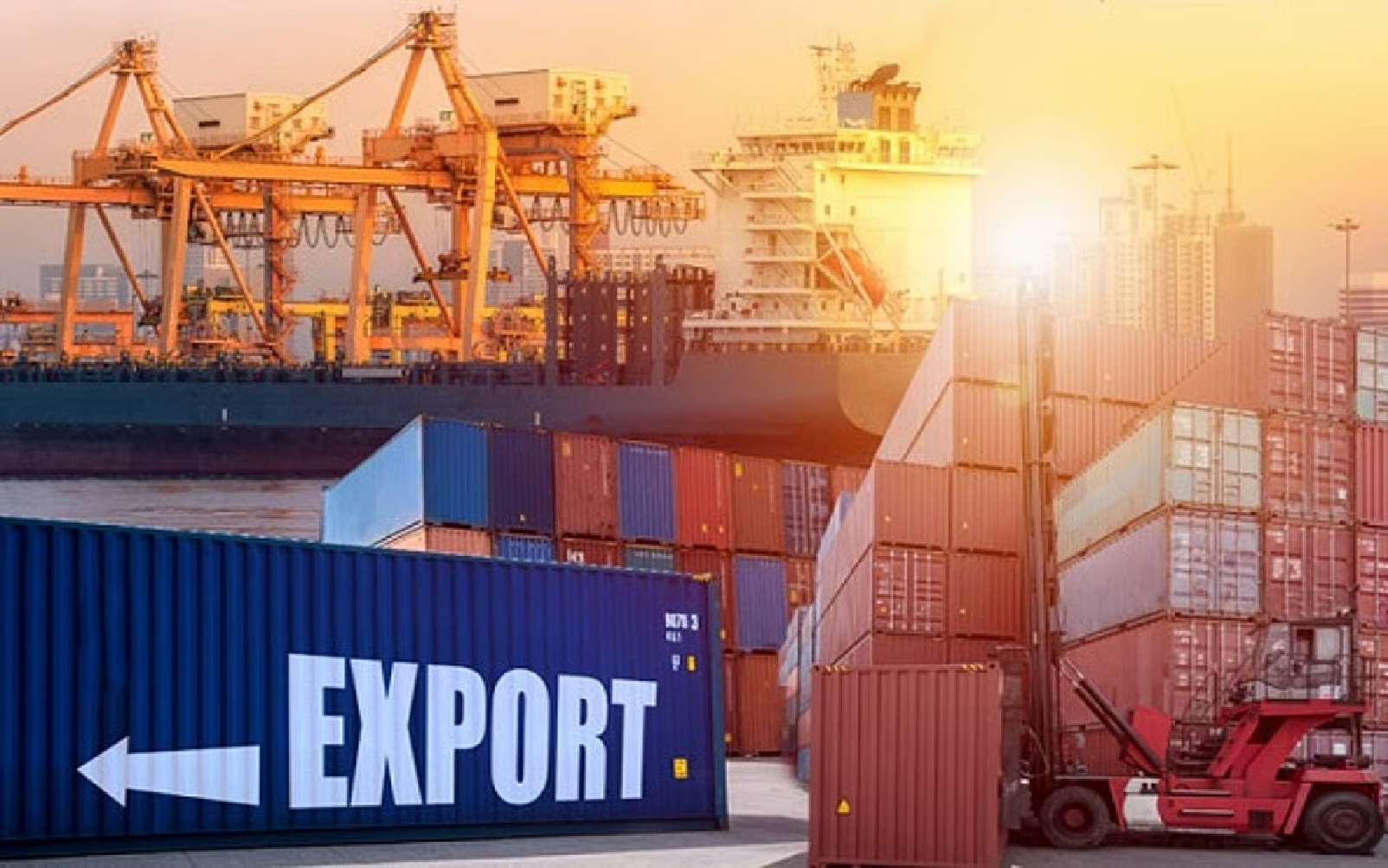 Focus on Export Targets