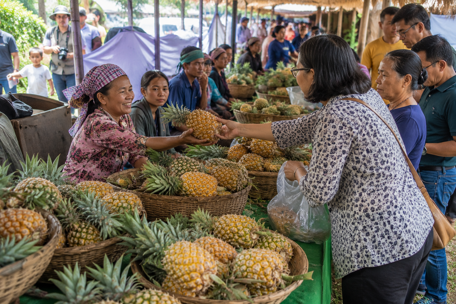 Meghalaya Pineapple Sales Hit Record High